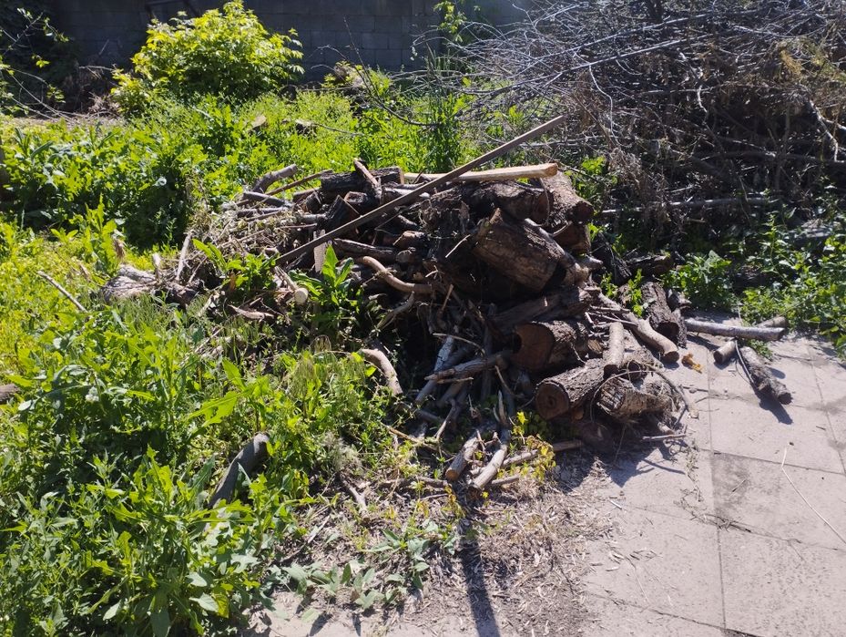 Продам дрова дуб