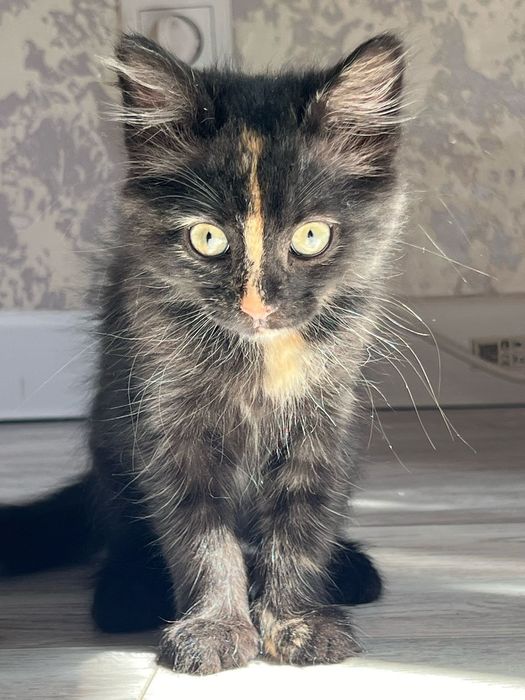 В  самые добрые и ответственные руки