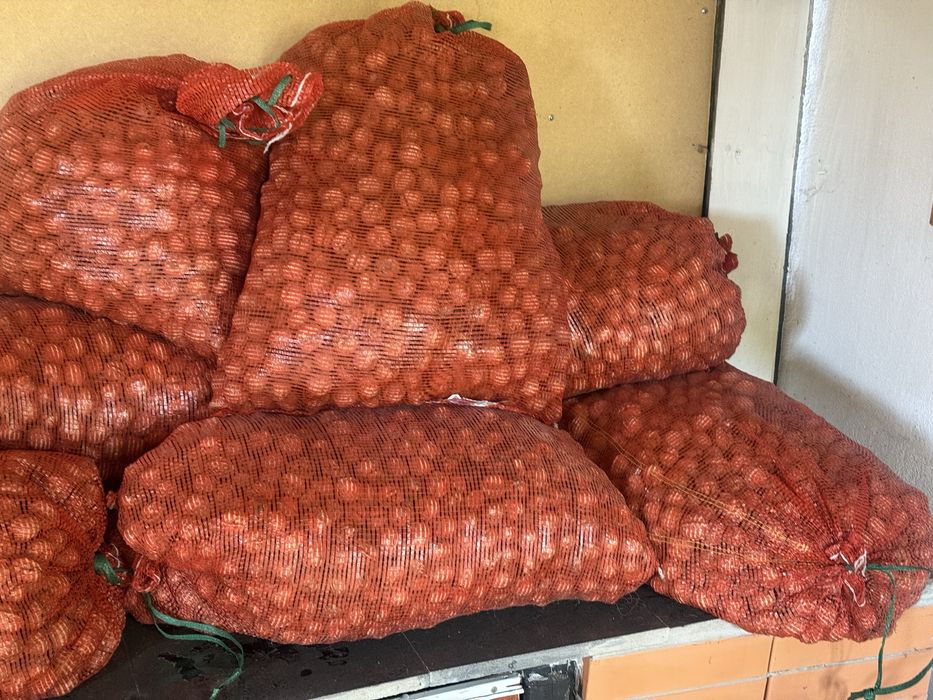 Продаи Грецский орех