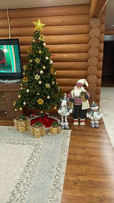 Коттедж в основном бору