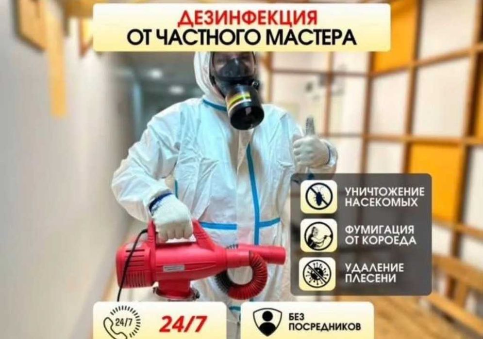 40% Дезинсекция, дератизация, дезинфекция, уничтожение вредителей