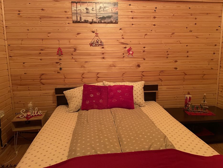 Cazare cabană PISCINA  si CIUBAR pe Clisura Dunării