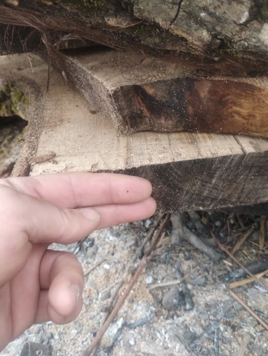 Vând blaturi de nuc.