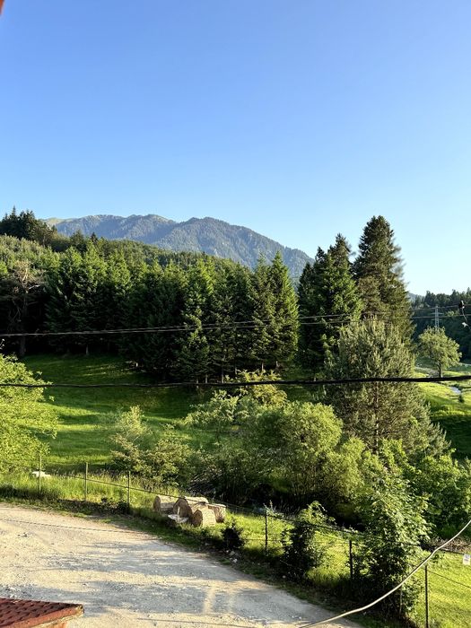 Vila de inchiriat,completa.