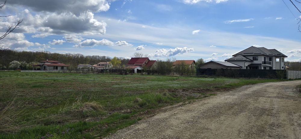 Snagov Ciofliceni Pădure