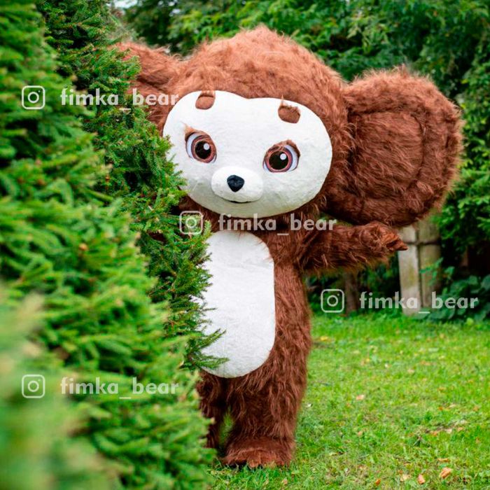 Подарок на День Рождения маме, бабушке, девушке