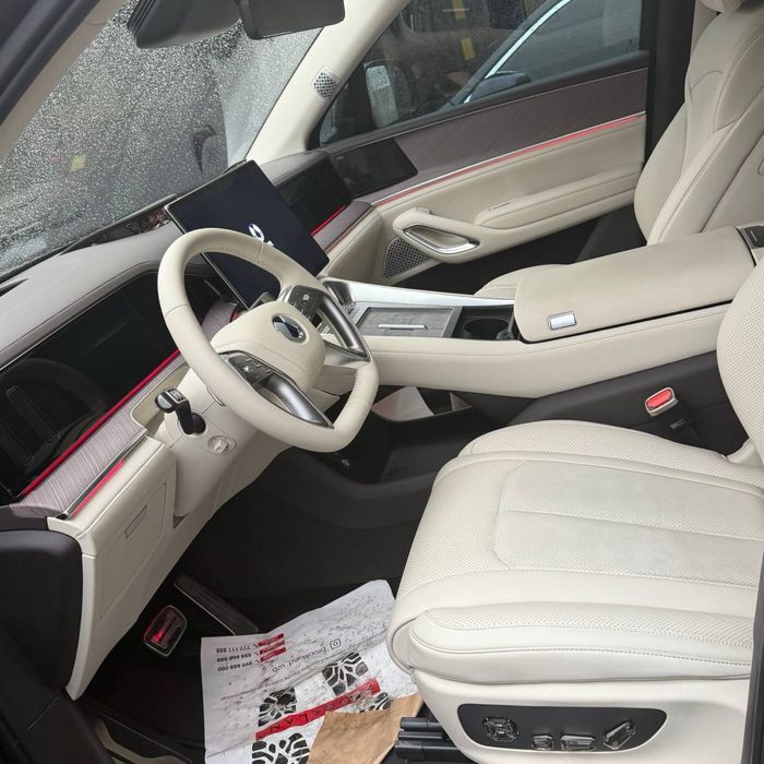 Denza n9 full pozotsiya