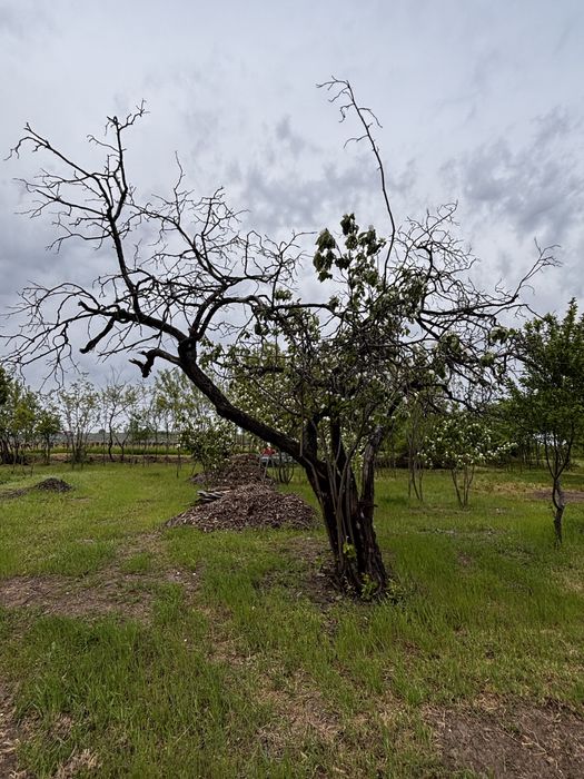 Titlu: Teren intravilan 1.700 mp + extravilan 17.800 mp – Valea Călugărească