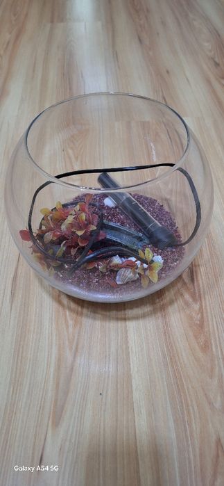 Acvarii gen bol, 5-6litri, cu toate accesoriile pt pești beta