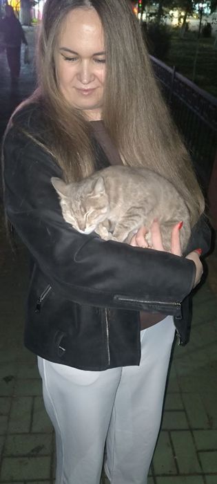 Кошка девочка !!