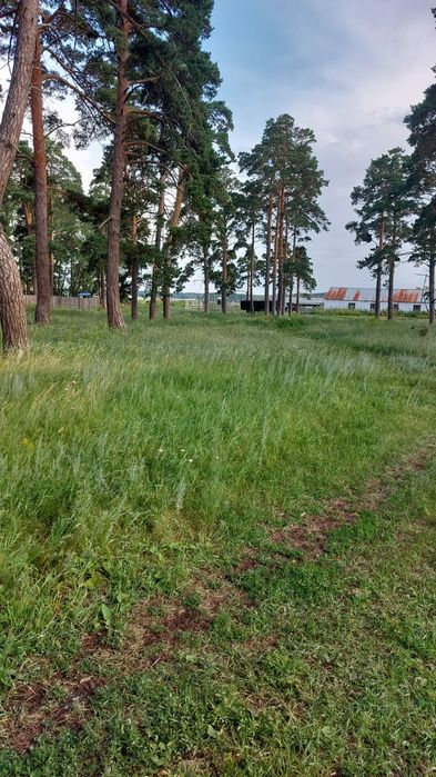 Продам участок 50 соток