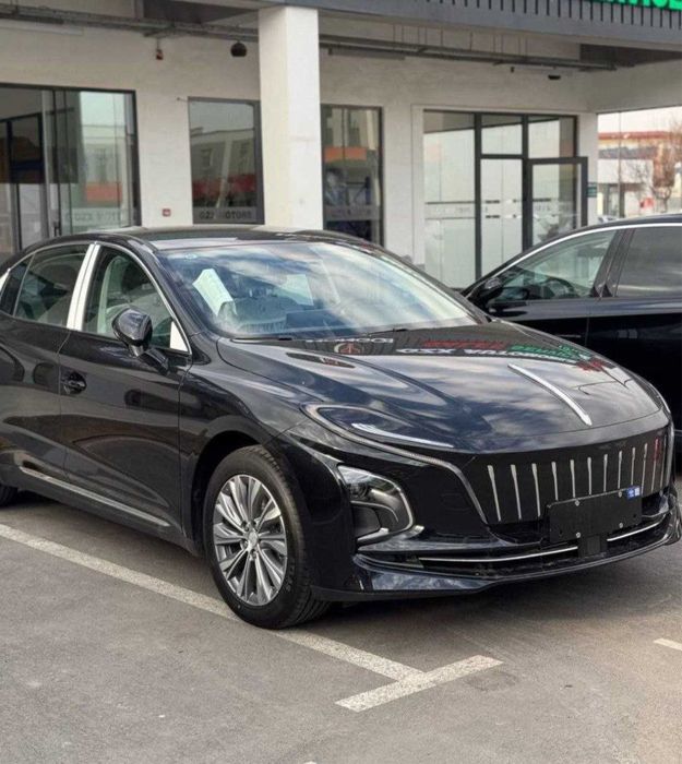 Hongqi  2024