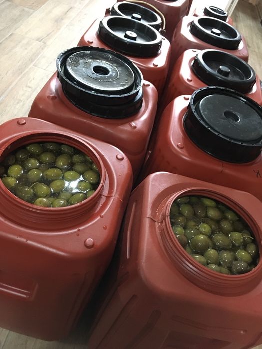 Măsline ( Kalamata (saramură)/Verzi (saramură)/Kalamata in ulei)