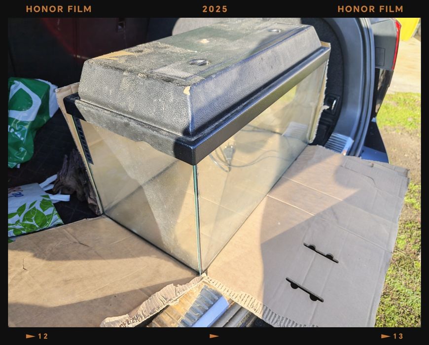 Vând acvariu pești 60 l