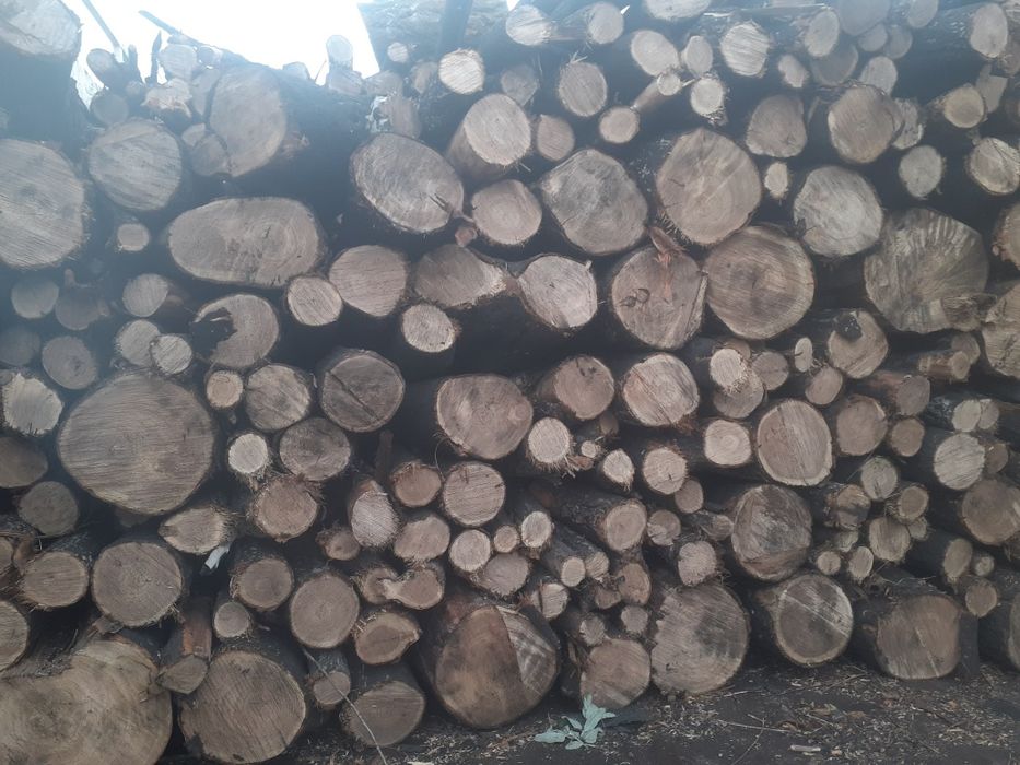 Дрова Тополь  сухой!