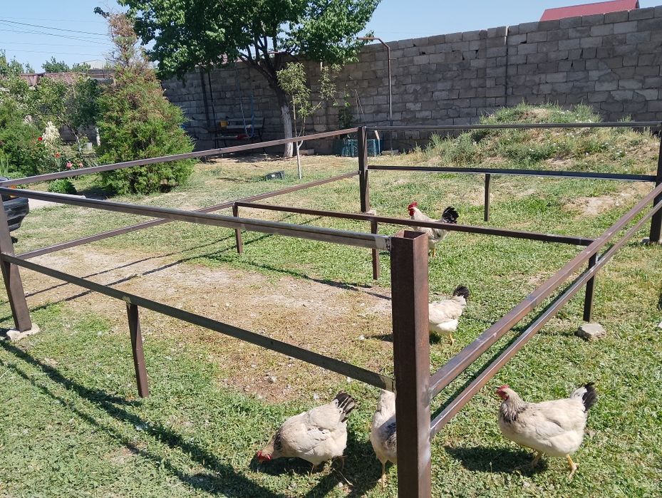 тапчан сатыдады.