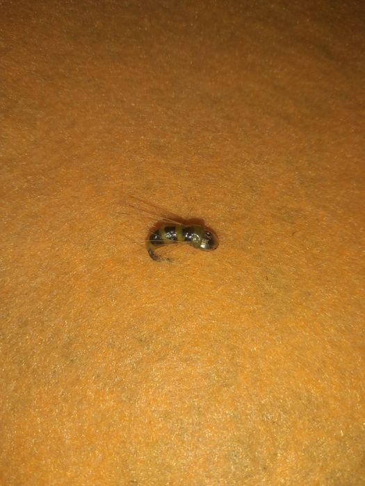 Мормышки ручная работа