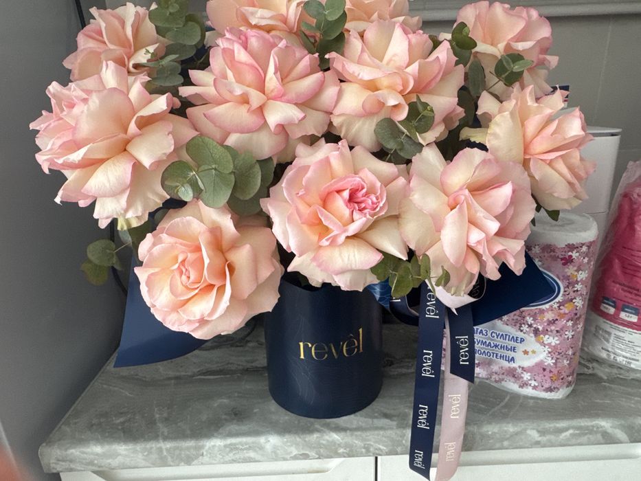 белые розы новые свежые