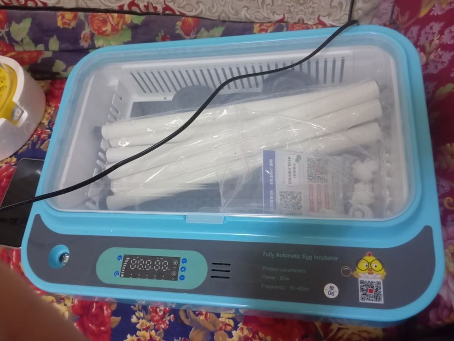 Inkubator keldi nalichida bor