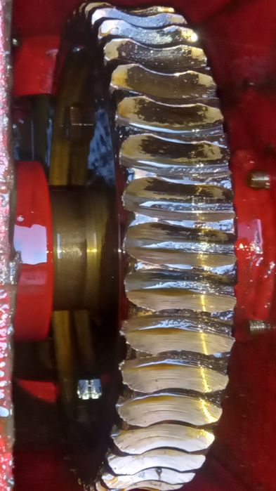 reductor raport 44 la 1 coroana bronz