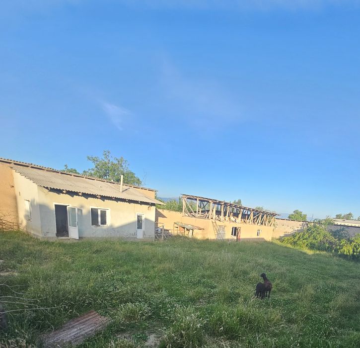 Кибрай тумани Окковок(2-отделения) махалласида 8 сотих ер участкаси .