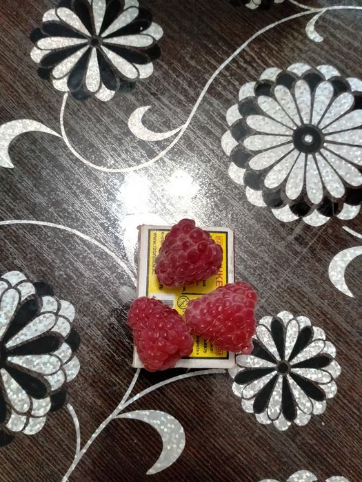 Продам малину домашнюю