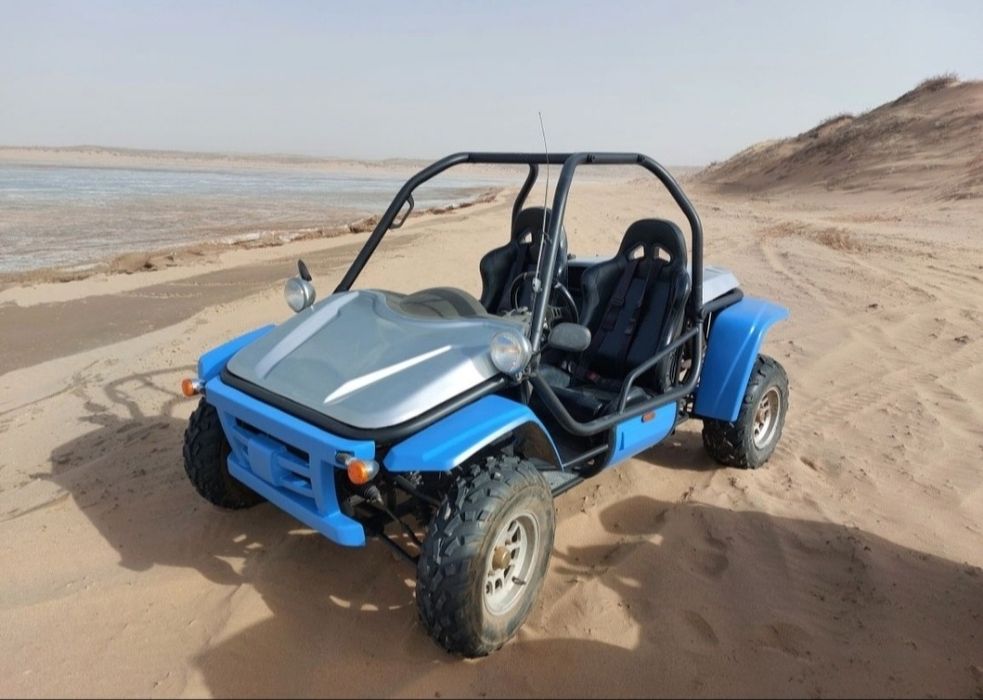 Заводской Багги 800куб