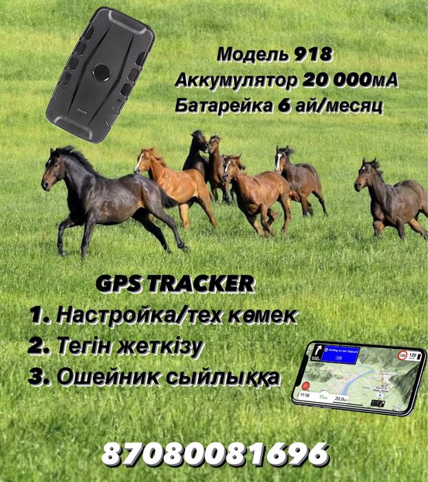 ЖПС трекер. GPS для лошадей и техники