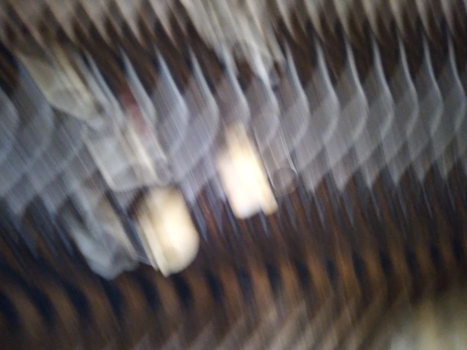 Карниз настенный и потолочный