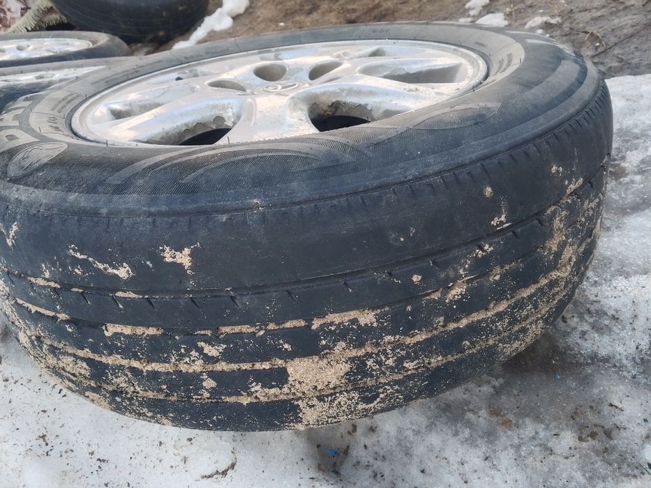 Екi сезон салынды  4штук