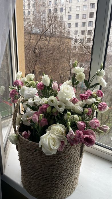 20.000, договорная