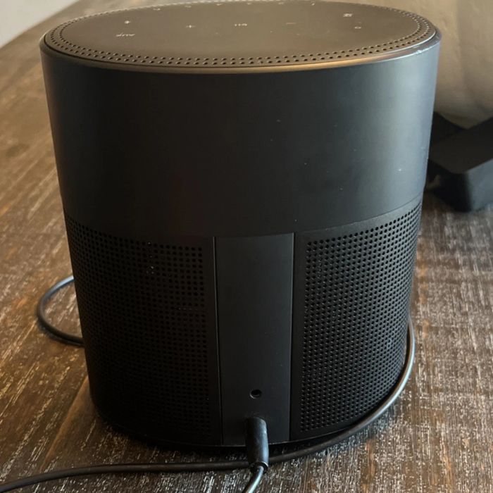 Bose Home Speaker 300