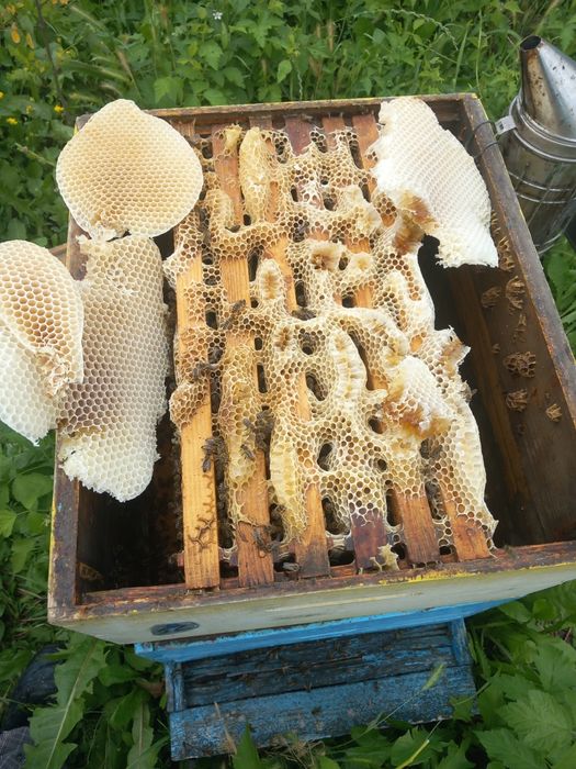 Ceara brută și lumânări naturale din ceara de albine!!