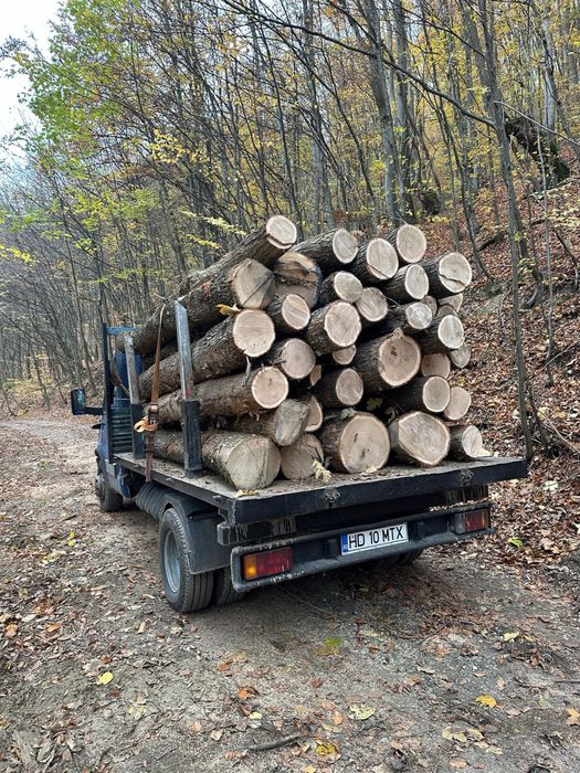 Lemn de Foc Fag, tot judetul Huneodara !!! Cele mai bune preturi!!