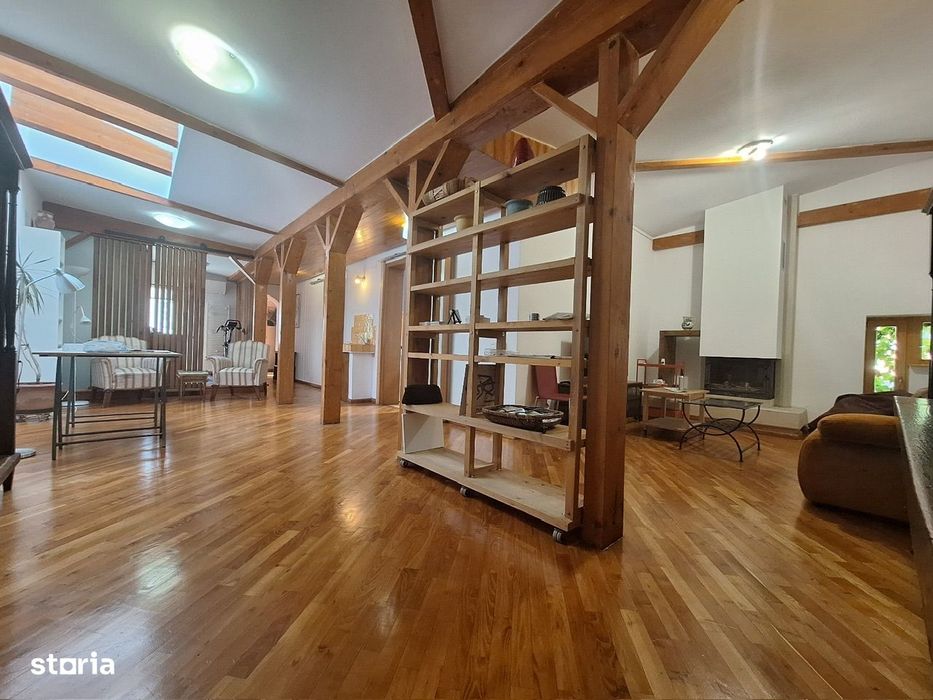 Rare Artist's Loft and Studio/ Atelier open space