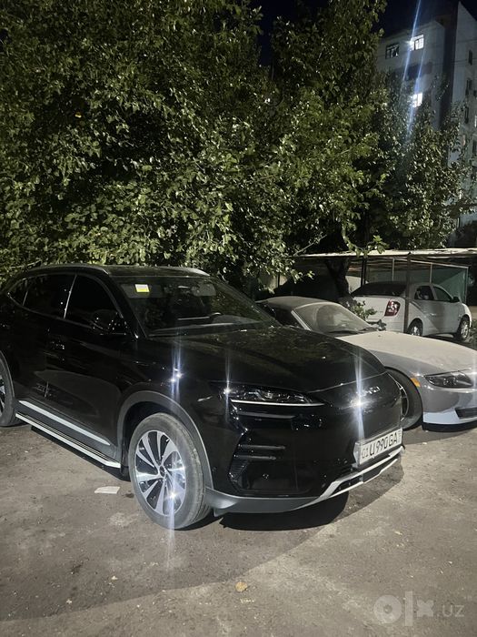 Byd Champion 605full