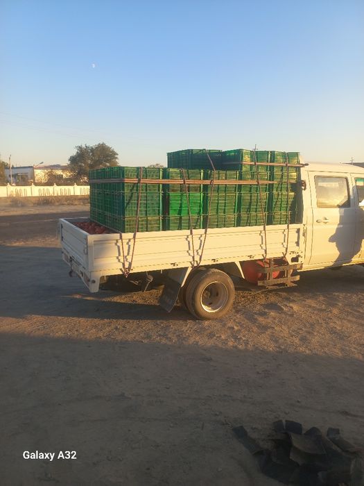 2 туна полужна в катигуря