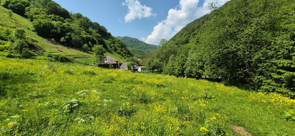 Teren intravilan în munții Apuseni jud Alba/Cluj