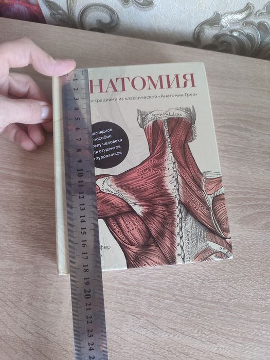 Анатомия  для медицинский колледжей.