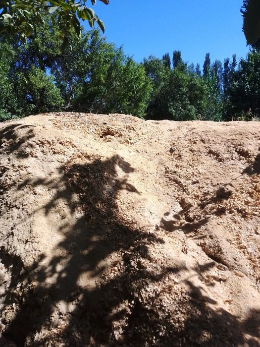 Apilka bor kelishilgan narxda