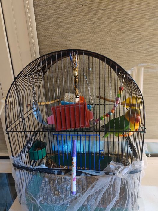 Клетка для попугаев