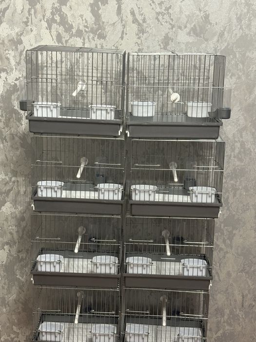 Птичьи клетки для кенара,щегла,чижа