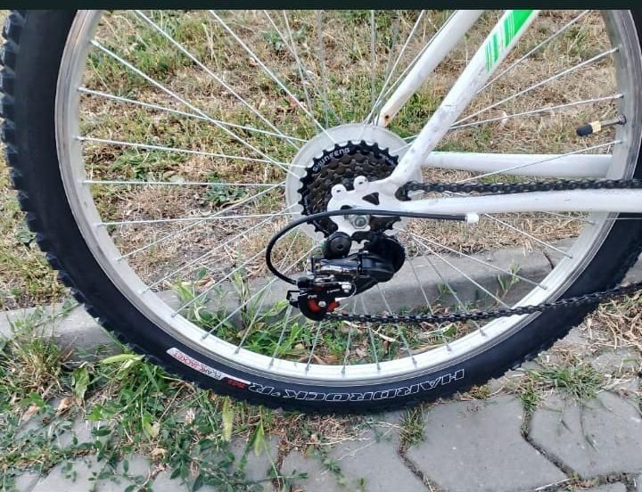 Bicicleta Esperia model pe 26"