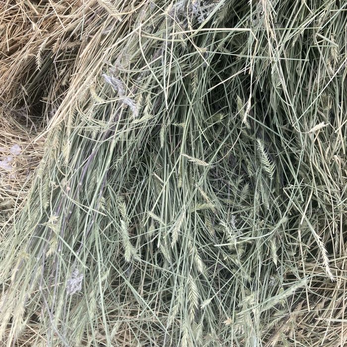 Продаю сено рулоны тюки