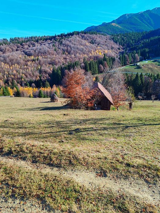 Teren intravilan in Bran - Simon