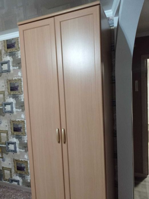 Шкаф идеальный 54х80х220см