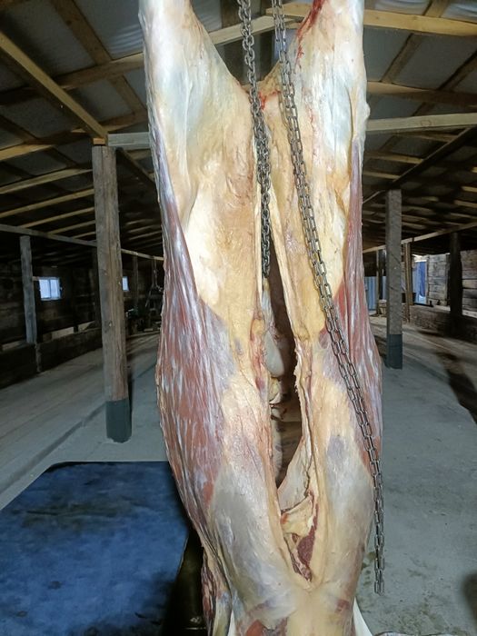 Ту сиыр сатылады