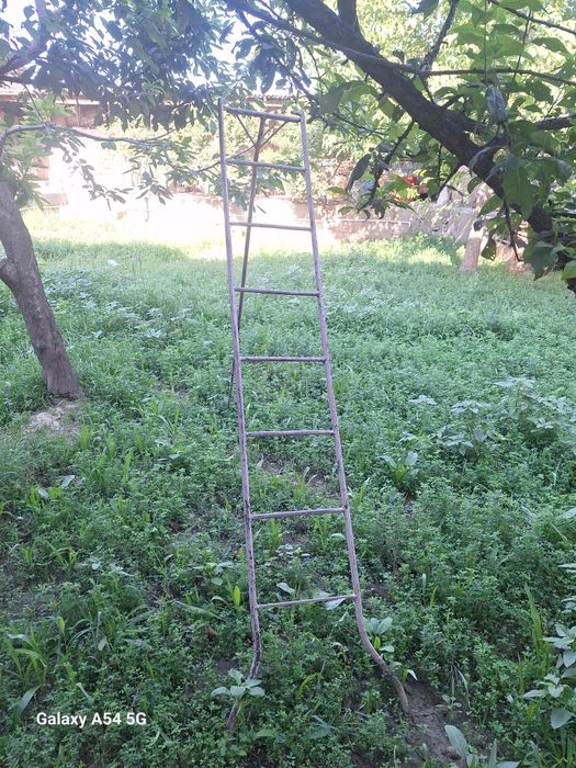 Охир мол куйларга