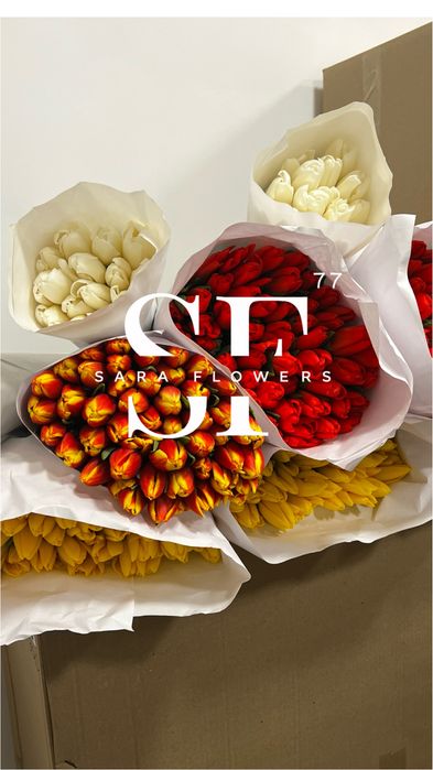 Оптовая продажа тюльпанов