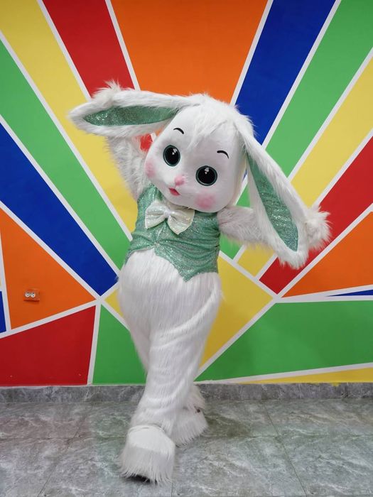 Ayiqlar sotiladi optom